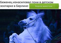23380228_1339116656193166_745177651709836528_n.jpg