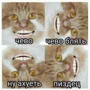 uCpBgxeWMmU.jpg