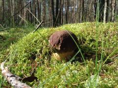 IMAGE 2017-11-10 10:42:18.jpg