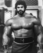 Lou Ferrigno Seven Magnificent Gladiators animation.gif