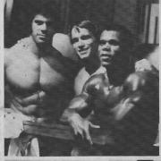 serge-nubret-forever-mr-olympia-1975-17.jpg