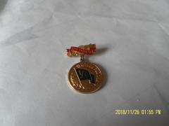 SAM_3870.JPG