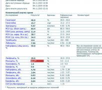E875EDF2-4C6A-4031-A7F2-3596C0DB82C2.jpeg