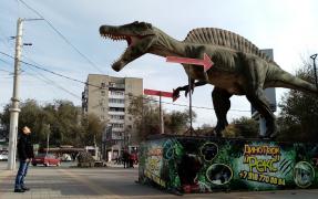 IMG_20191104_123826.jpg