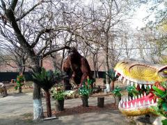 IMG_20191104_123438.jpg