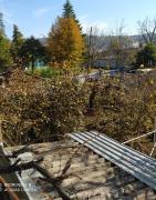 IMG_20201130_125500.jpg
