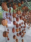 IMG_20201102_152641.jpg