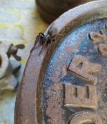 IMG_20201107_144107.jpg