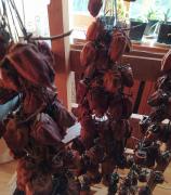 IMG_20201123_153137.jpg
