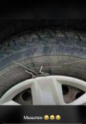 IMG-20201127-WA0054.jpg