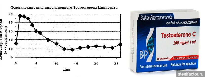 Тестостерон ципионат. Фармакокинетика сустанон 250. Пик концентрации тестостерона пропионата. График концентрации тестостерона ципионат. Фармакокинетика тестостерон ципионат.