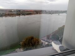 IMG_20201102_085741.jpg