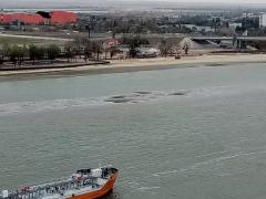 IMG_20201028_105344.jpg