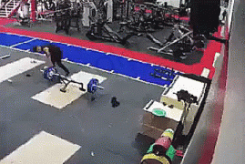 1637641347126440399.gif