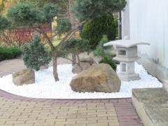 IMG_3960.JPG
