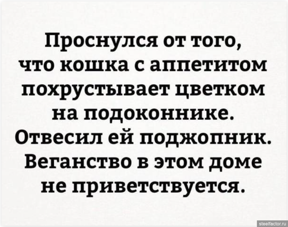 Приветствуется. Веганство в этом доме не приветствуется. Афоризмы про Крикунов. Проснулся от того, что кошка веганство в нашем доме. Отвесил поджопник веганство в нашем доме не приветствуется.