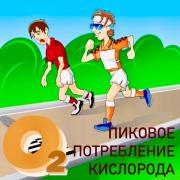 314404029_1310583383112045_3970469623516310104_n.jpg