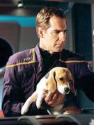 be42d72df8f13a467676eed9468c674c--star-strek-beagle-dog.jpg