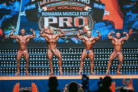 IMG_20221113_150217.jpg