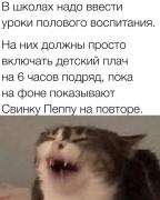 1699165711267081722.jpg