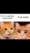 IMG_20231111_073038_697.jpg