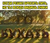 ssgeXNxi4So.jpg
