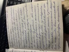 IMG_8280.jpeg