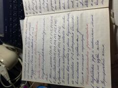 IMG_8275.jpeg