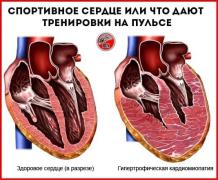 YSqzHnU_Ev_W_yyb6wNl2iZ94m1tT11HCIiyouc9OHboj0mmKf_F2L_OKds3jhUfDkjTnvi-kUXaiKLGcMG3u8Kv.jpg
