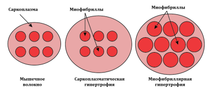 scale_1200.png