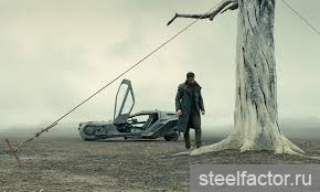 Без названия (1).jpg