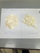 Софос и Сиеролат.jpeg