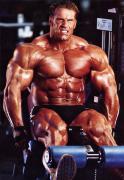 JayCutler_FLX_Lund_003.jpg