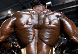 kaigreene8ua1.jpg