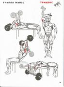 KachaemMuskuly_training_pic.jpg