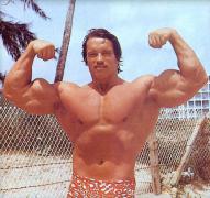 Arnold_Schwarzenegger_2034.jpg