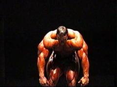 levrone_0007_1_.jpg