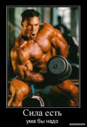 demotivatory_50.jpg
