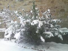 dsc01766.jpg