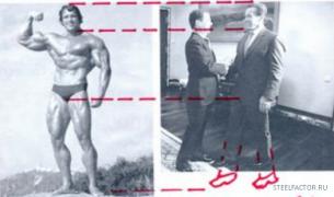 22388_arn2.jpg