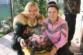всячина_097.jpg