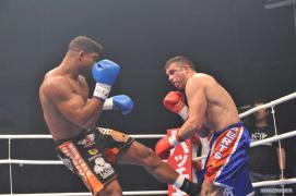 08_aerts_overeem_07_800.jpg