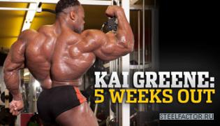 kai_green_opener_lg.jpg