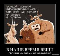 1292824588_demotivatory_37.jpg