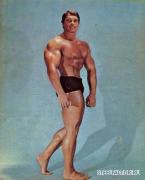 Arnold_Schwarzenegger_498.jpg