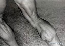 Arnold_Schwarzenegger_625.jpg