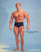 Arnold_Schwarzenegger_649.jpg