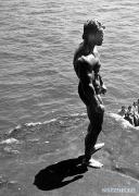 Arnold_Schwarzenegger_795.jpg