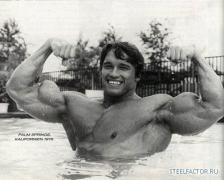 Arnold_Schwarzenegger_828.jpg