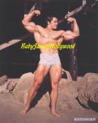 Arnold_Schwarzenegger_850.jpg